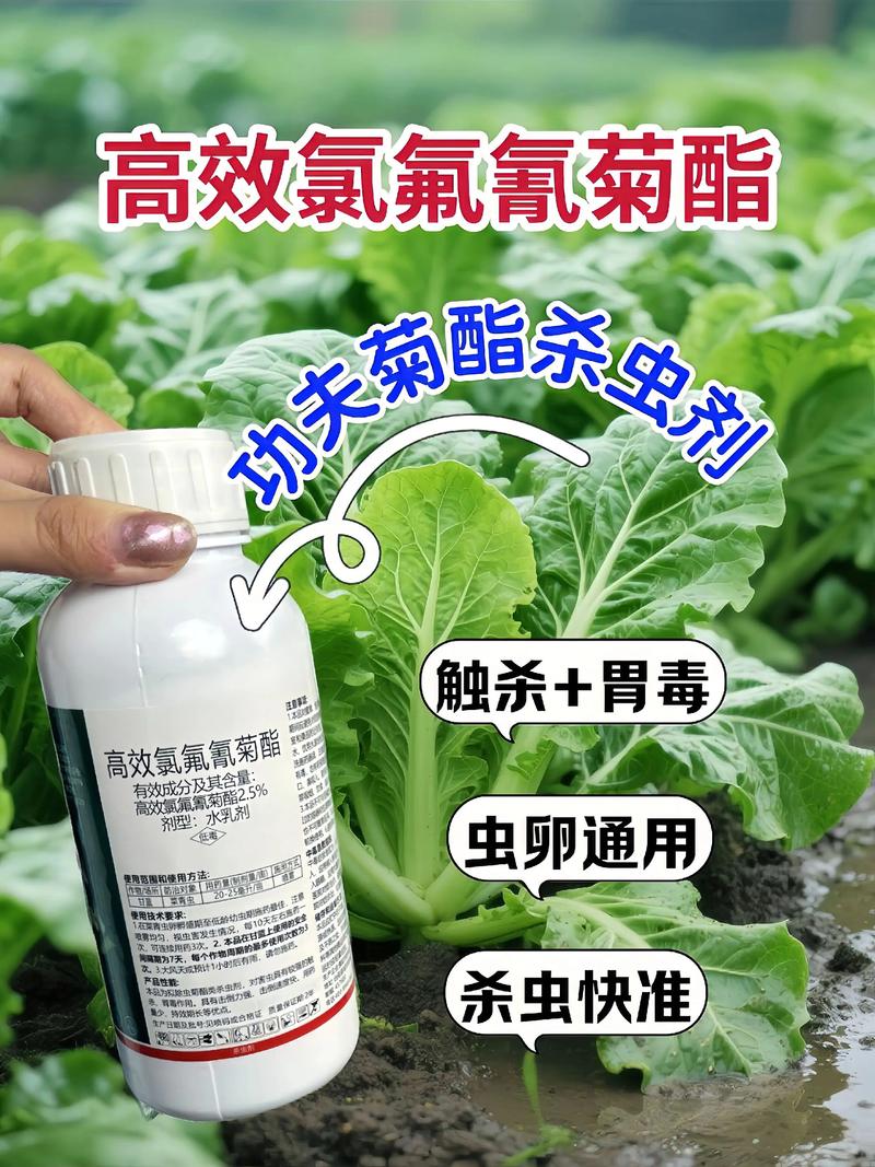 锡林郭勒代生中心:农药对供卵代生妈妈的危害