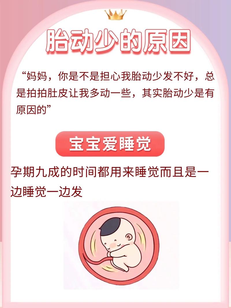 锡林郭勒借卵代怀:宝宝胎动少怎么回事